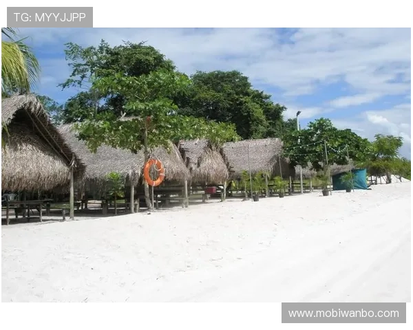 如何高效绑定账号与安全设置提升万博首页登录app使用体验